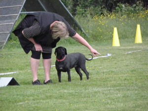 Först går man igenom banan muntligt med hunden och talar om vad den ska göra..........